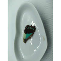 Vlinder vleugel nr 2